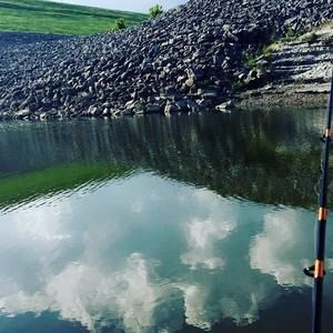 Meet your Posher, Fernando